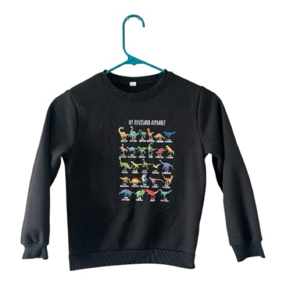 Kids Dinosaur Alphabet Sweatshirt – Approx Size 7/8 – Long Sleeve Pullover